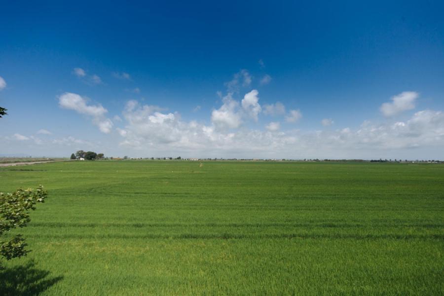 Salicornia Apartament L'Eucaliptus Экстерьер фото